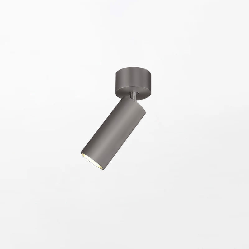 Riveia Ceiling Spotlight Lamp