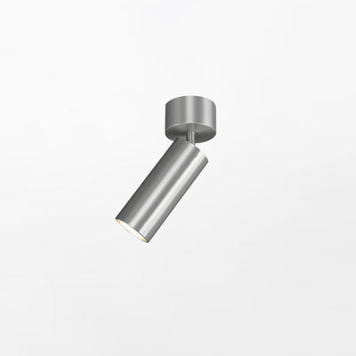 Riveia Ceiling Spotlight Lamp