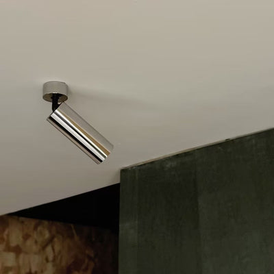 Riveia Ceiling Spotlight Lamp