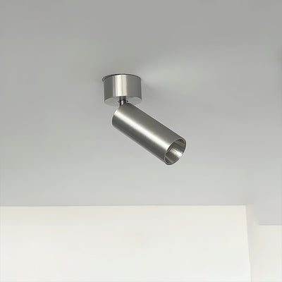 Riveia Ceiling Spotlight Lamp