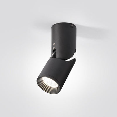 Avenaora Ceiling lamp LED Spotlights Sunny Adjustable