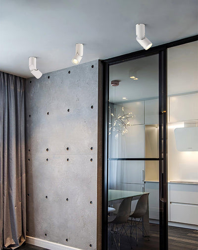 Avenaora Ceiling lamp LED Spotlights Sunny Adjustable