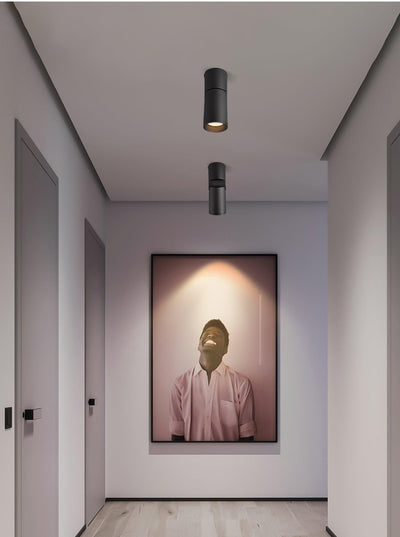Avenaora Ceiling lamp LED Spotlights Sunny Adjustable