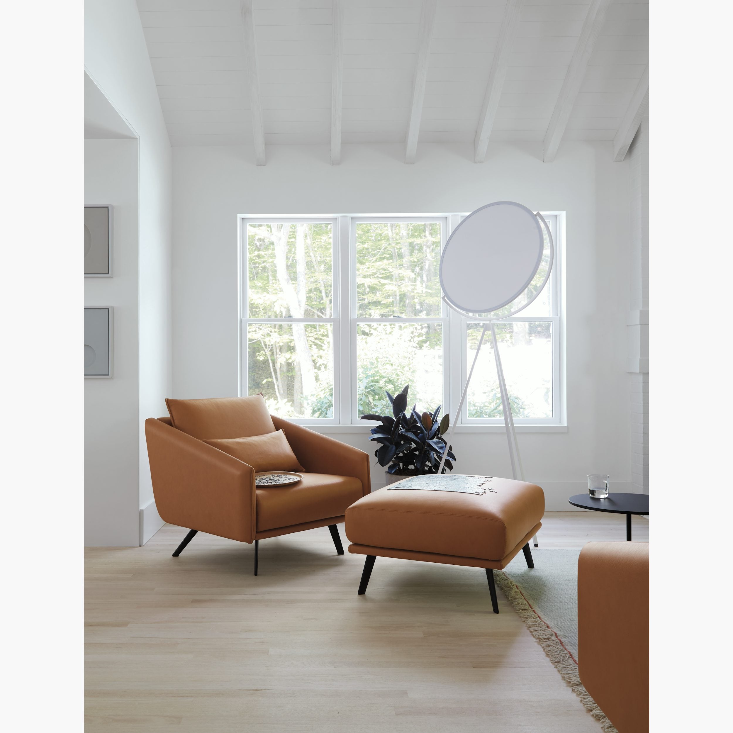 Sorisia Floor Lamp