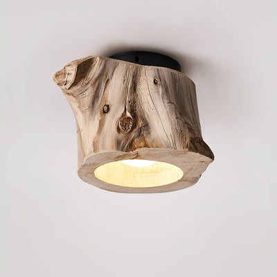 Tybn Hollow Ceiing Lamp