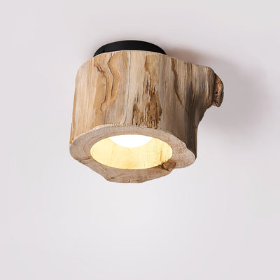 Tybn Hollow Ceiing Lamp
