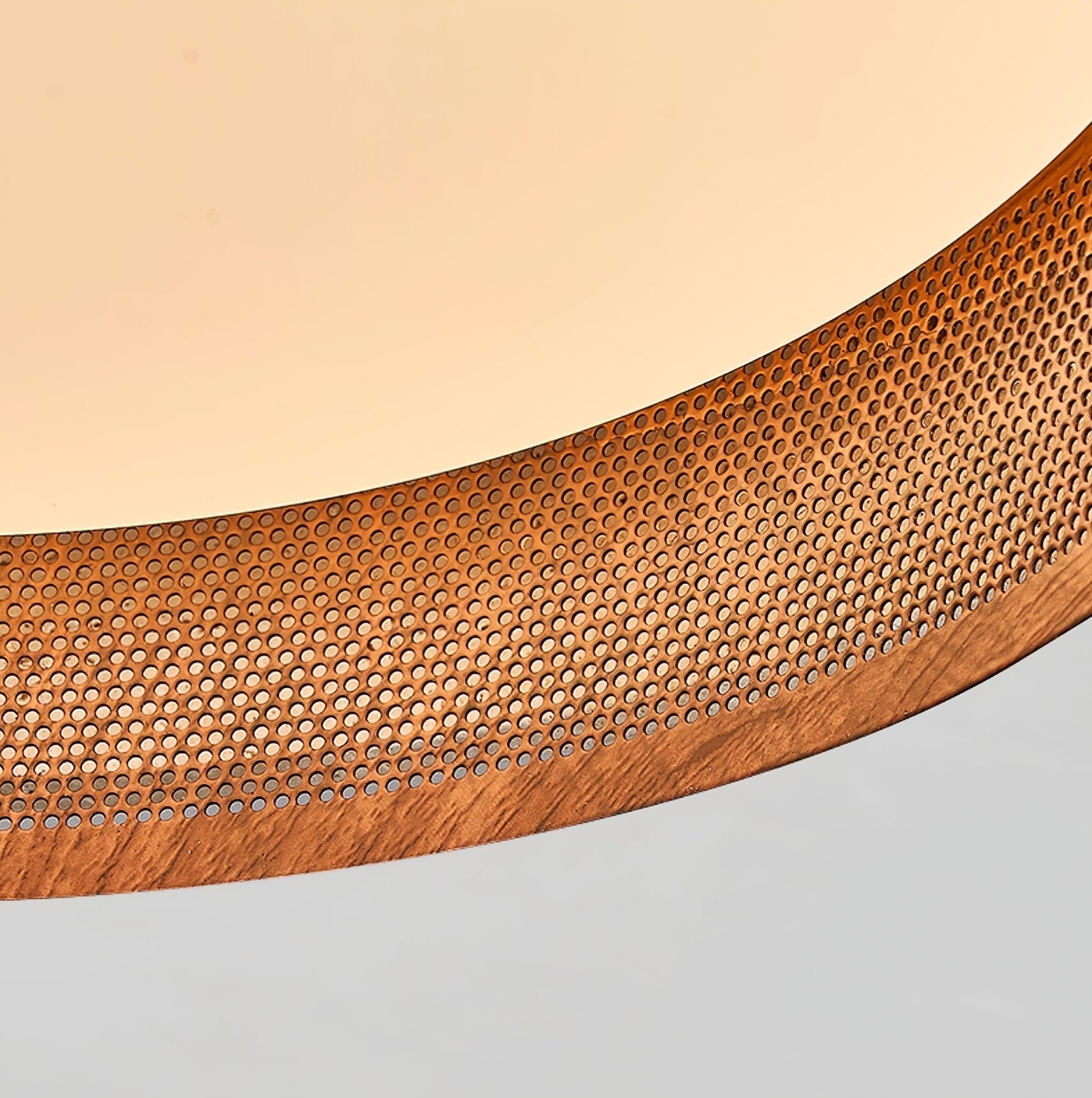 Reniena Forge Ceiling Light