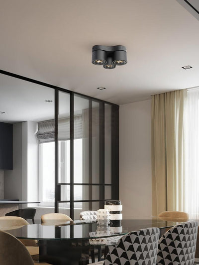 Reneine Rotating Folding Three Head Spotlight Ceiling lamp