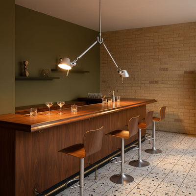 Brady Elvior Adjustable Arm Pendant Light