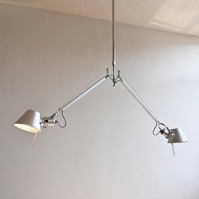 Brady Elvior Adjustable Arm Pendant Light