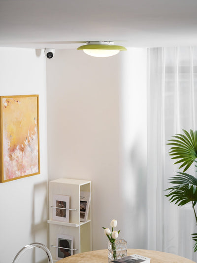 Poe Pendant Lamp Resin Oval Soft Contemporary