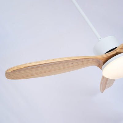 Norirora Elegance Natural Ceiling Fan Light