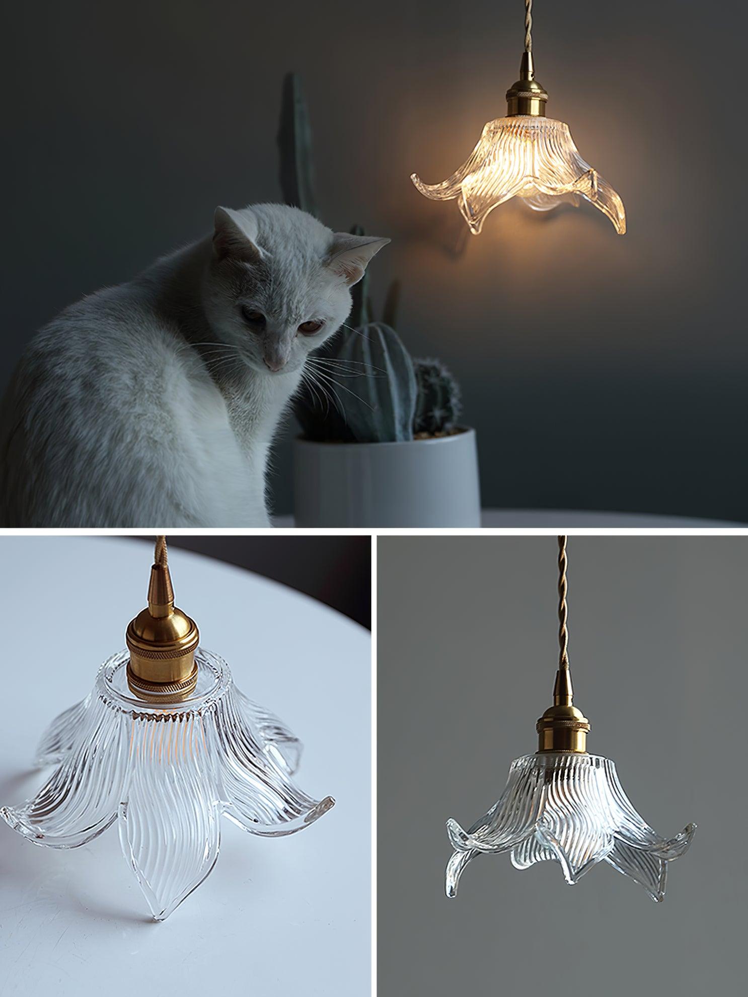 Aell Brass & Glass Glam Pendant Light