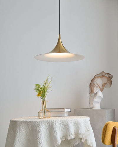 Lioreina Swag Pendant Light