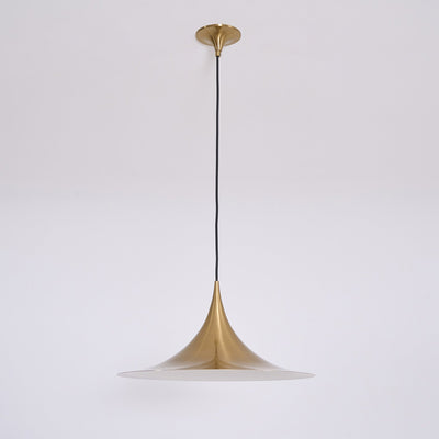Lioreina Swag Pendant Light