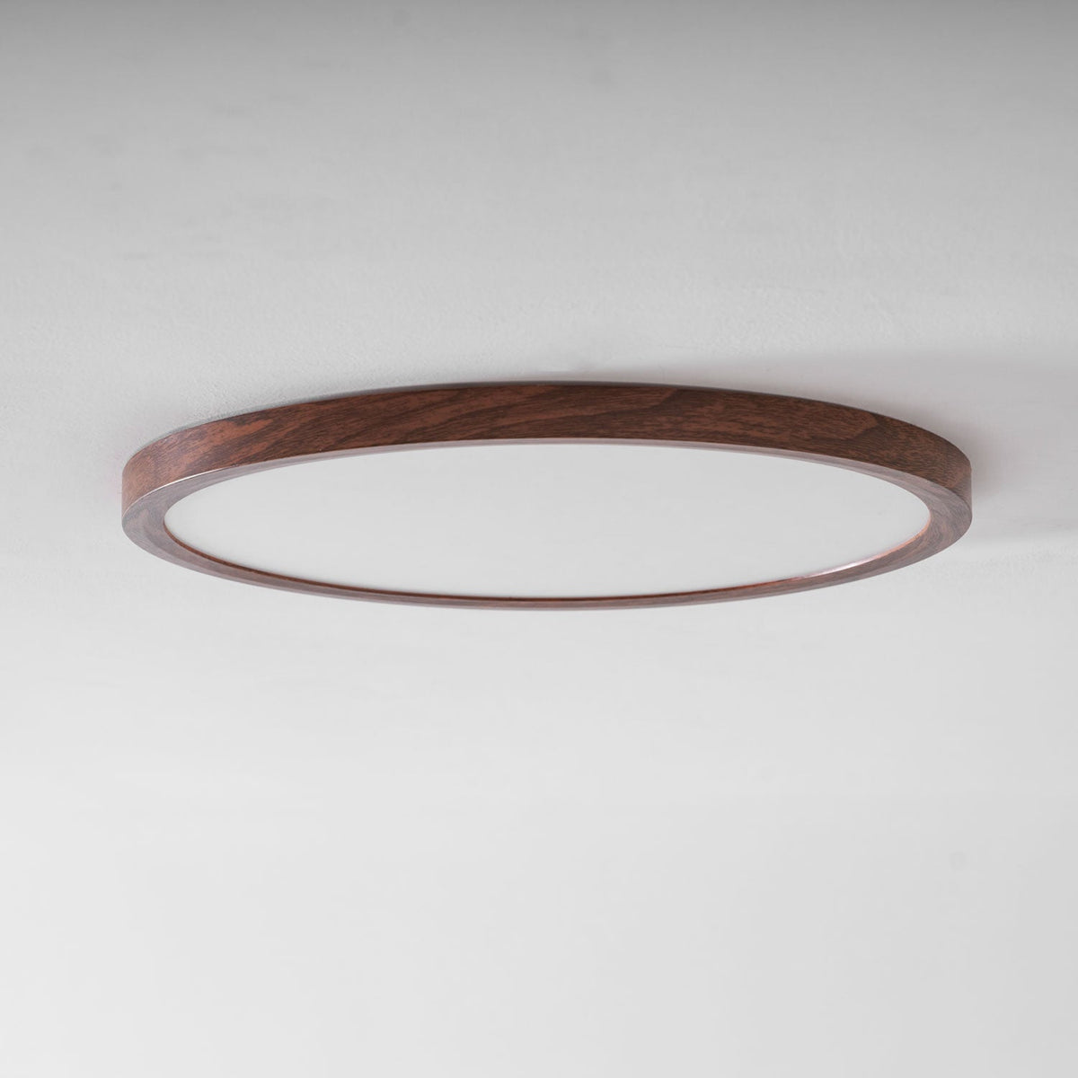 Roseborne Ultrathin Round Flush Mount Ceiling Light