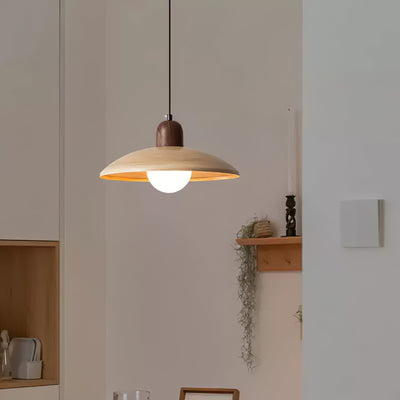 Sorinelia PE Retro Pendant Light
