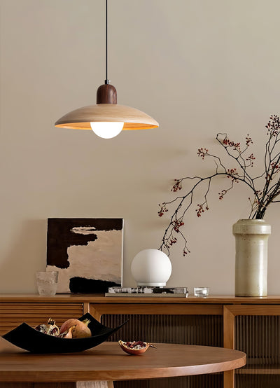 Sorinelia PE Retro Pendant Light