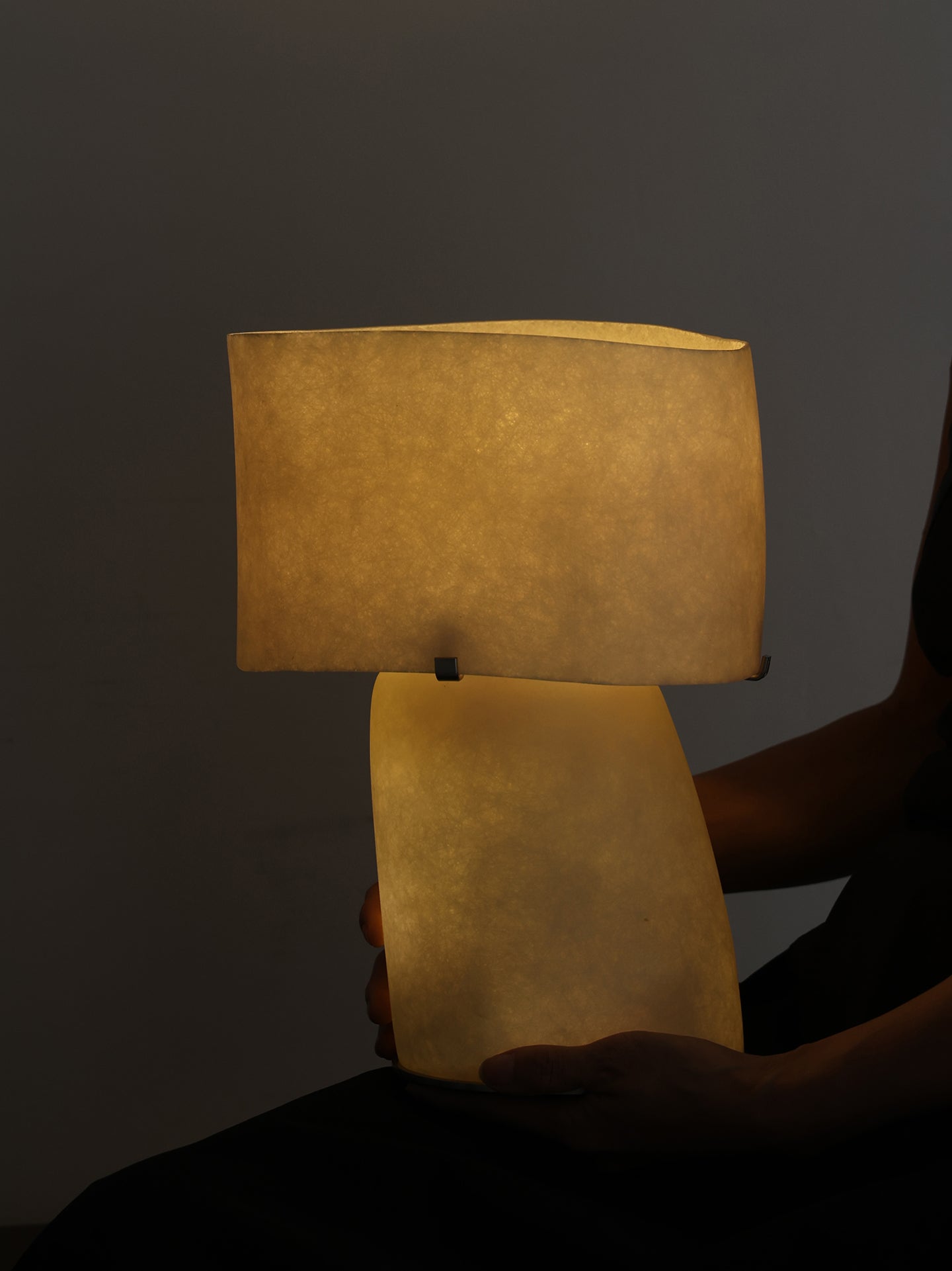 Lirvyn Table Lamp