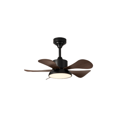 Avenereon Ceiling Fan Light