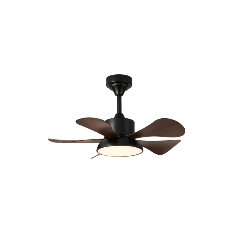 Avenereon Ceiling Fan Light