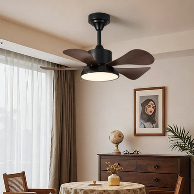 Avenereon Ceiling Fan Light