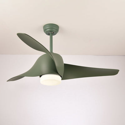 Umber Ceiling Fan Light