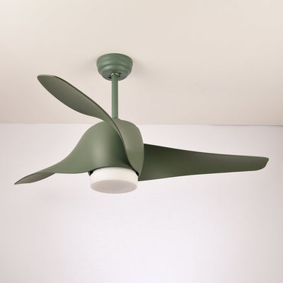 Umber Ceiling Fan Light