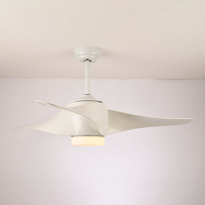 Umber Ceiling Fan Light