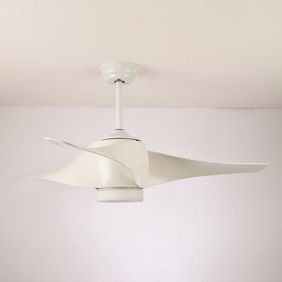 Umber Ceiling Fan Light