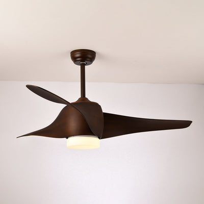 Umber Ceiling Fan Light