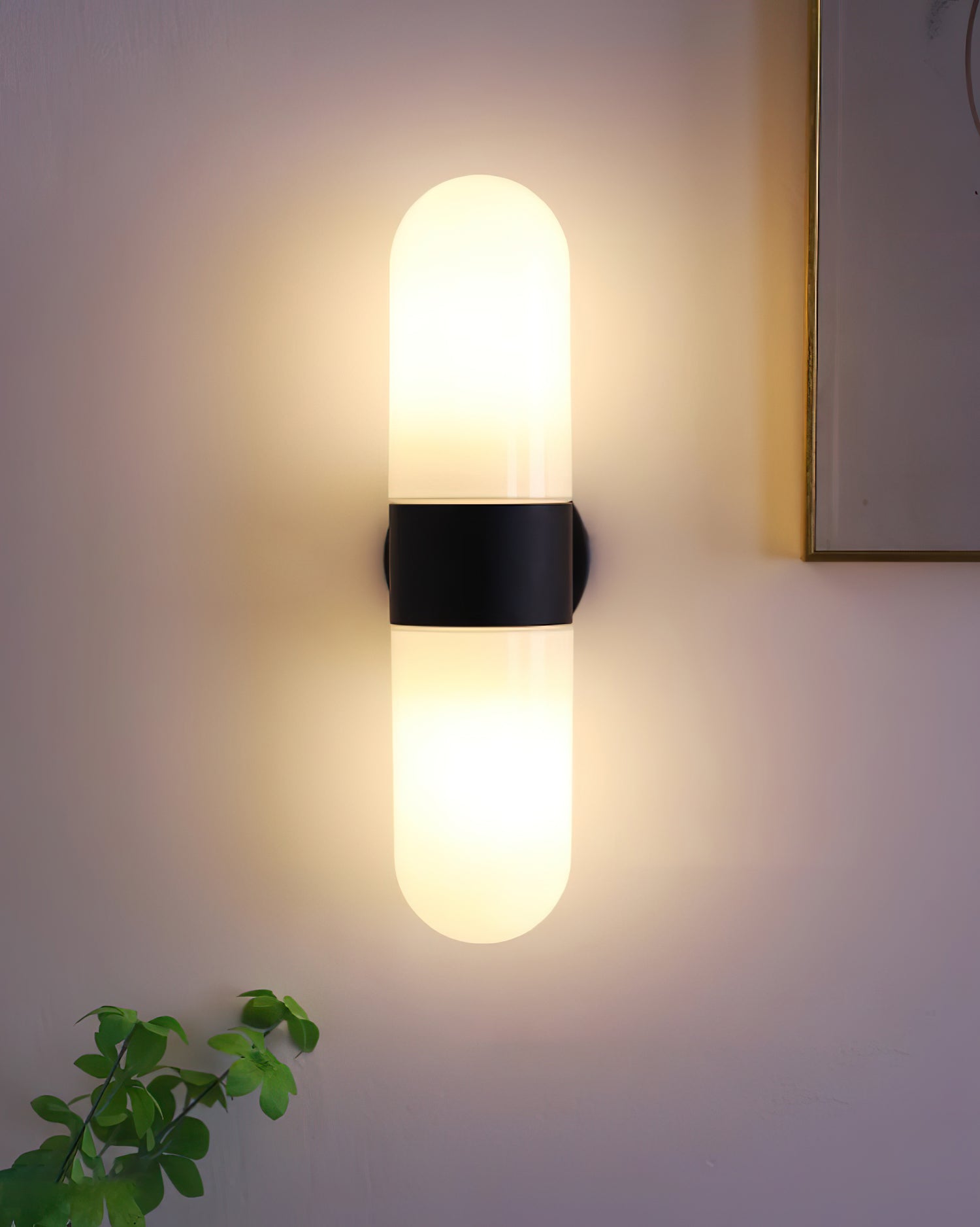 Celisette Capsule Glass Wall Sconce