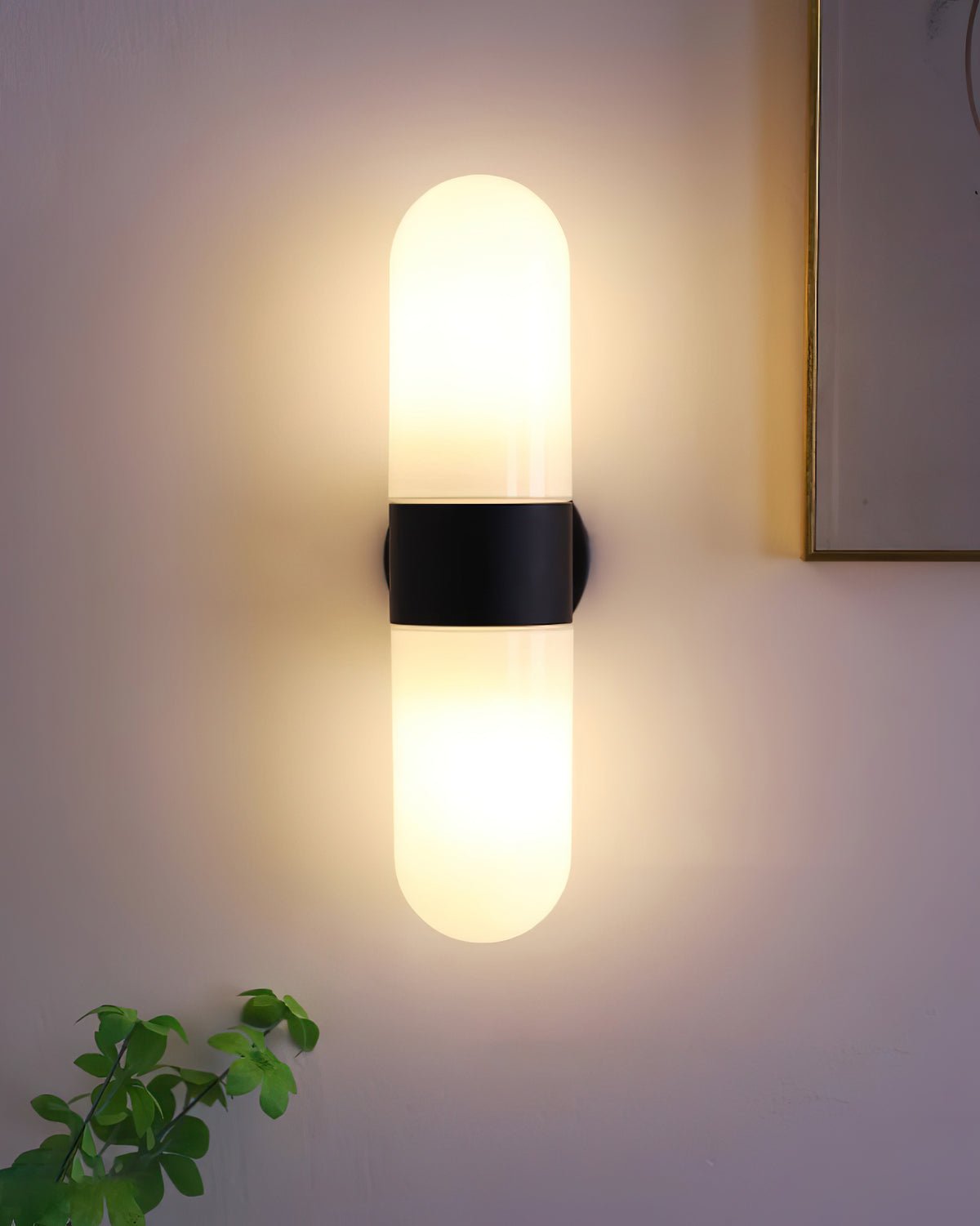 Celisette Capsule Glass Wall Sconce