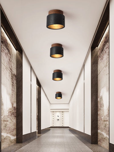 Seleelle Glow Ceiling Light