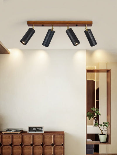 Eurliryra  Black Travertine Trio Ceiling Spot