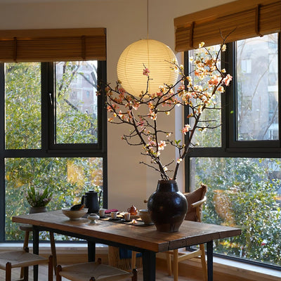Beauwell Paper Globe White Plug Wire Pendant Light