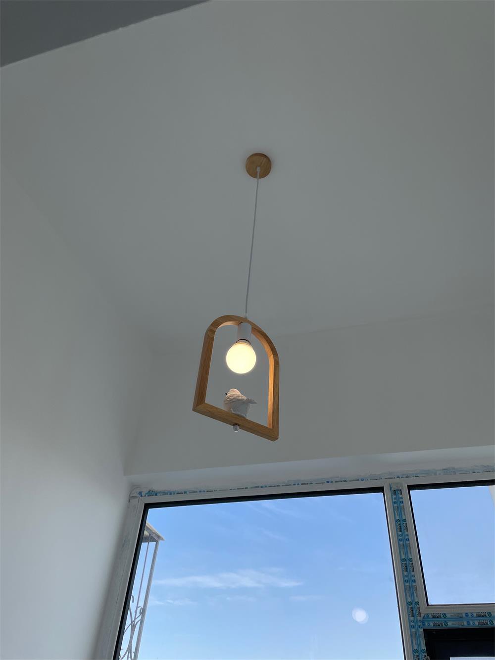 Ceda Wood Resin Pendant Light