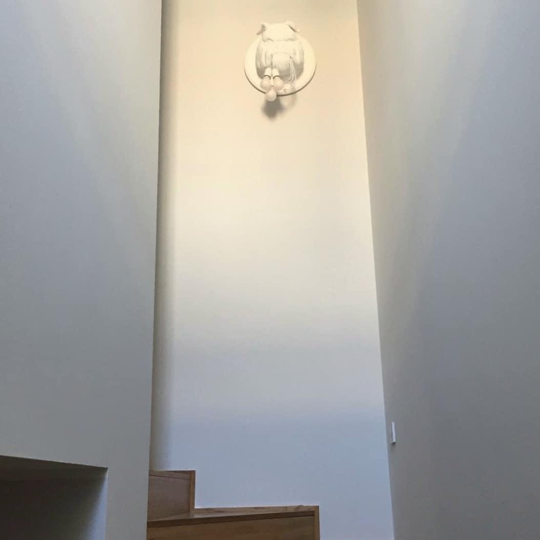 Umeri Wall Lamp Bulldog Sculpture Whimsical