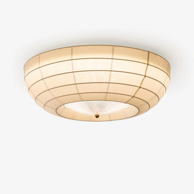 Zentrix Ceiling Light