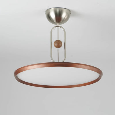 Lucaian Modern Acrylic Ceiling Lamp