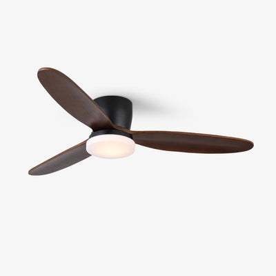 Athyrs Ceiling Fan Light