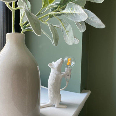 Kalinix Resin Whimsical Table Light