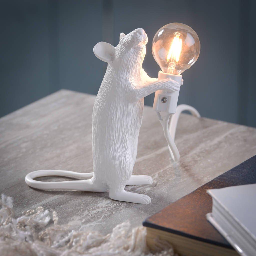 Kalinix Resin Whimsical Table Light
