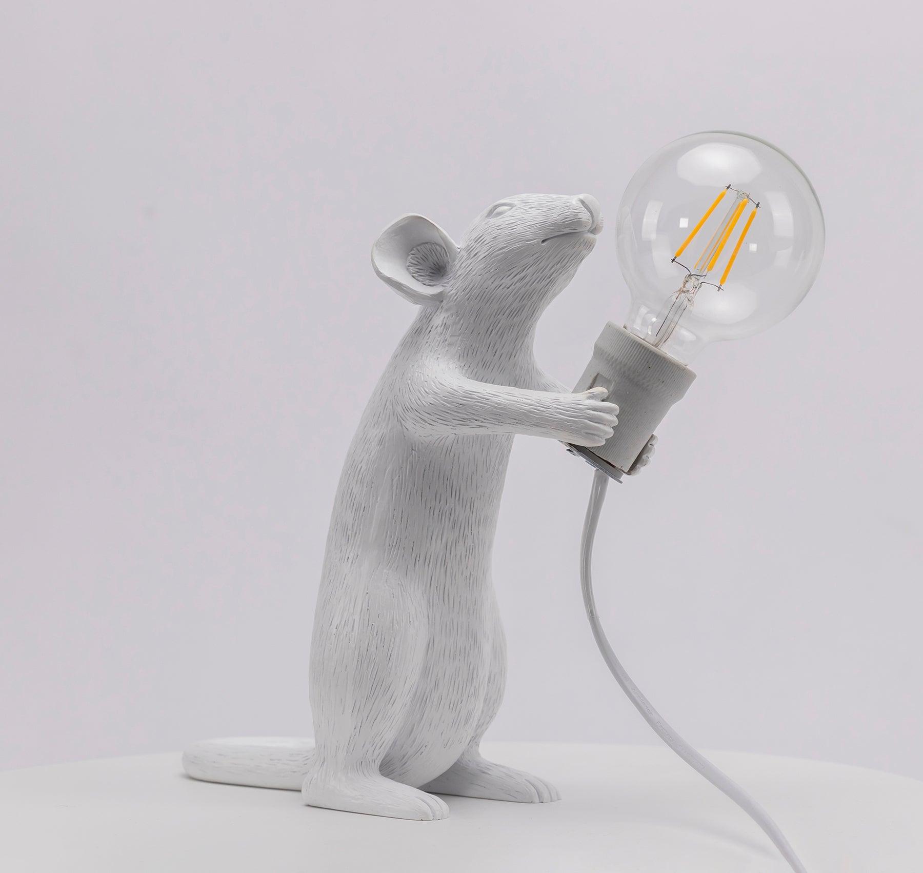 Kalinix Resin Whimsical Table Light