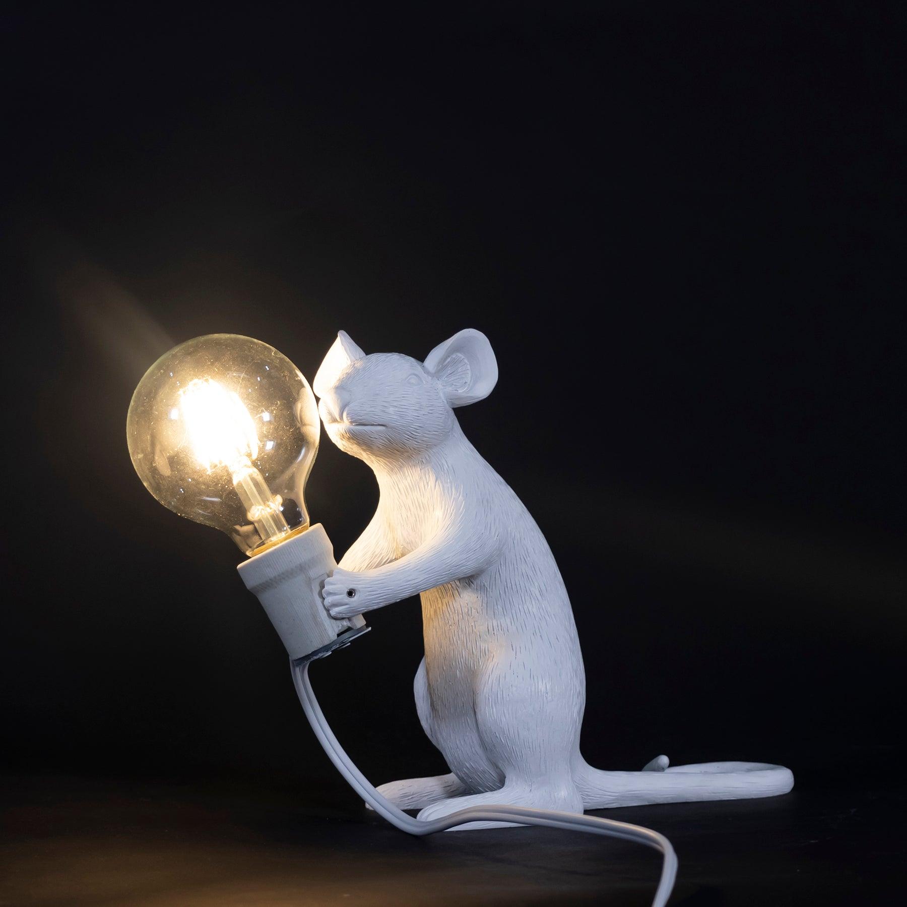 Kalinix Resin Whimsical Table Light