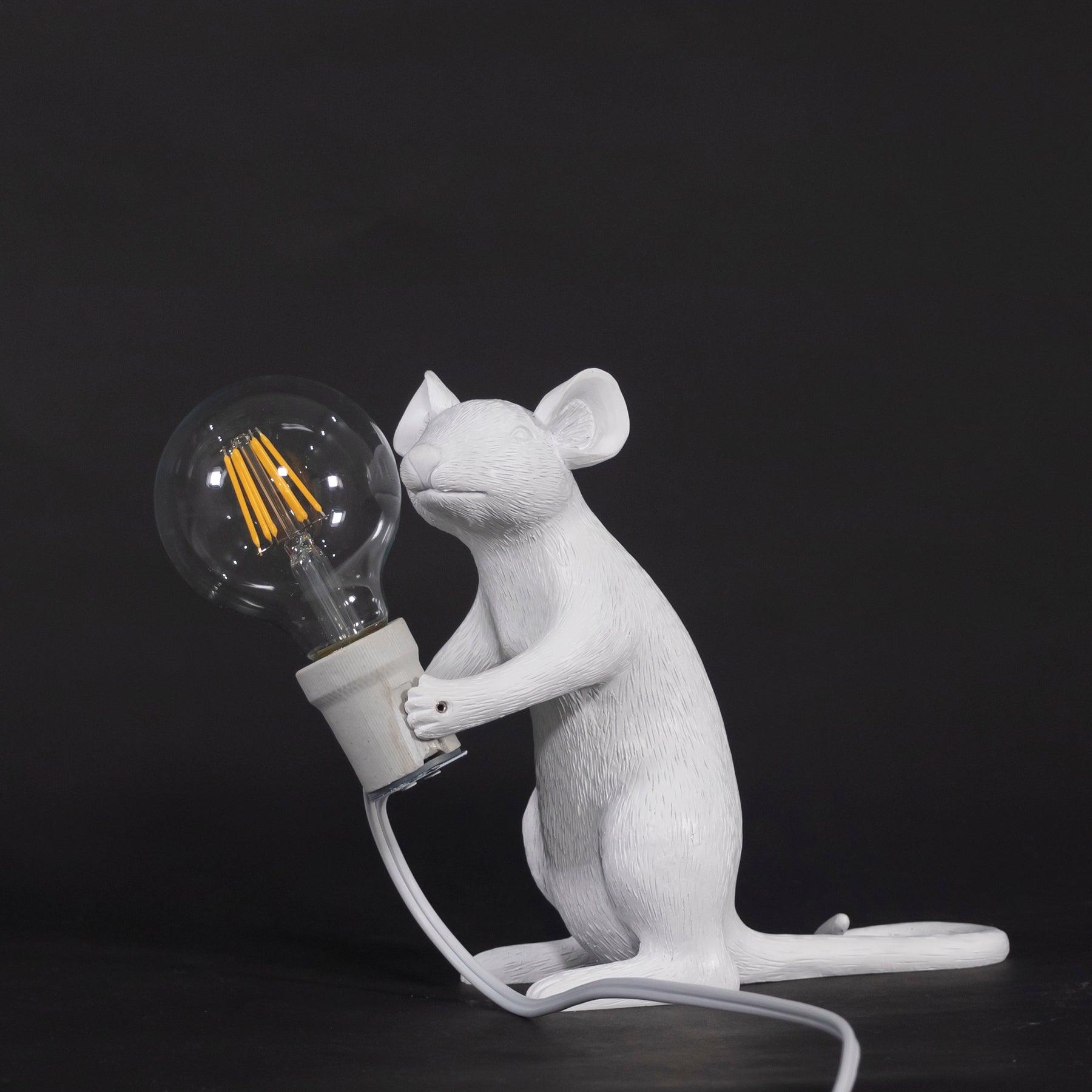 Kalinix Resin Whimsical Table Light