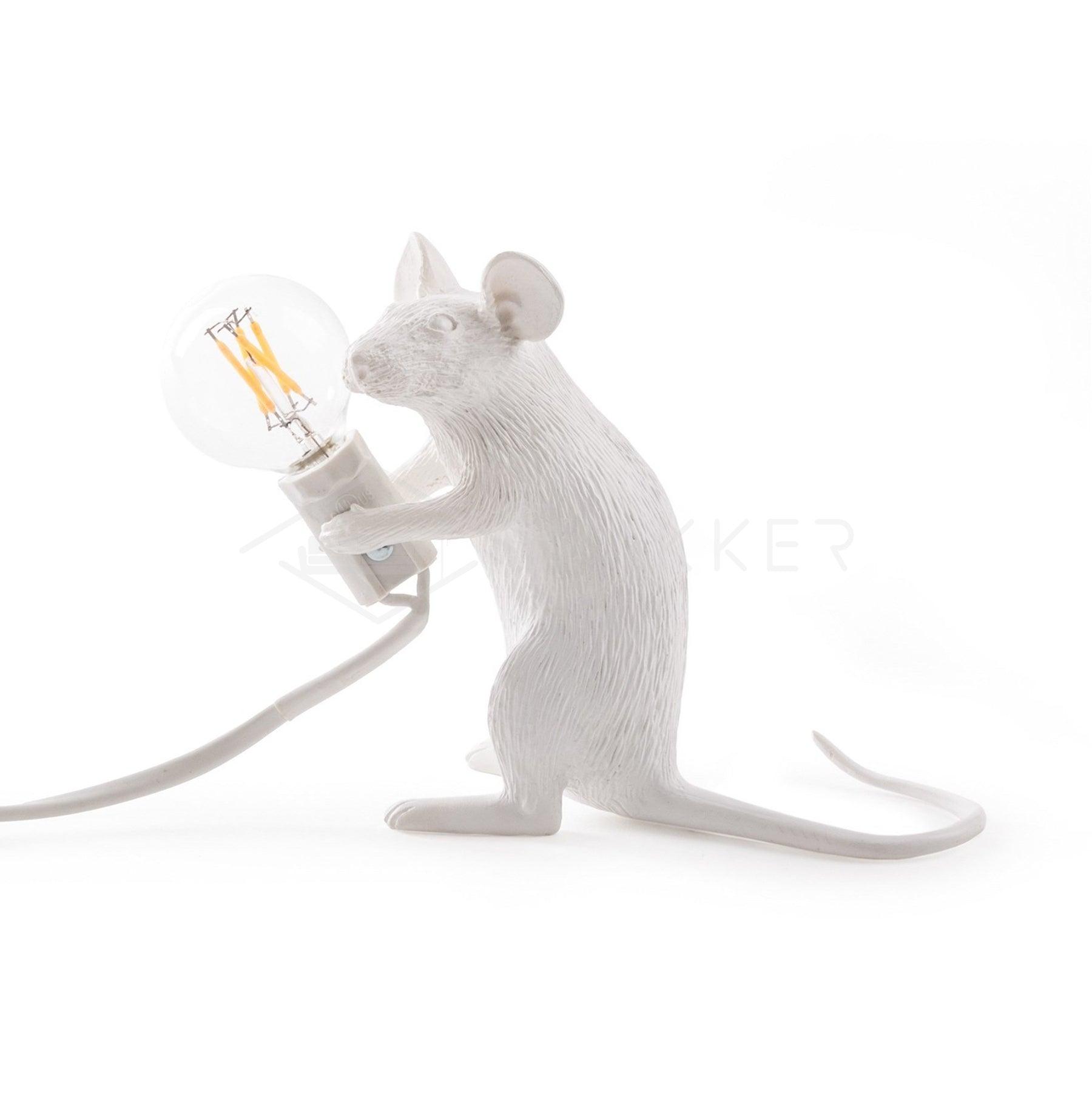 Kalinix Resin Whimsical Table Light