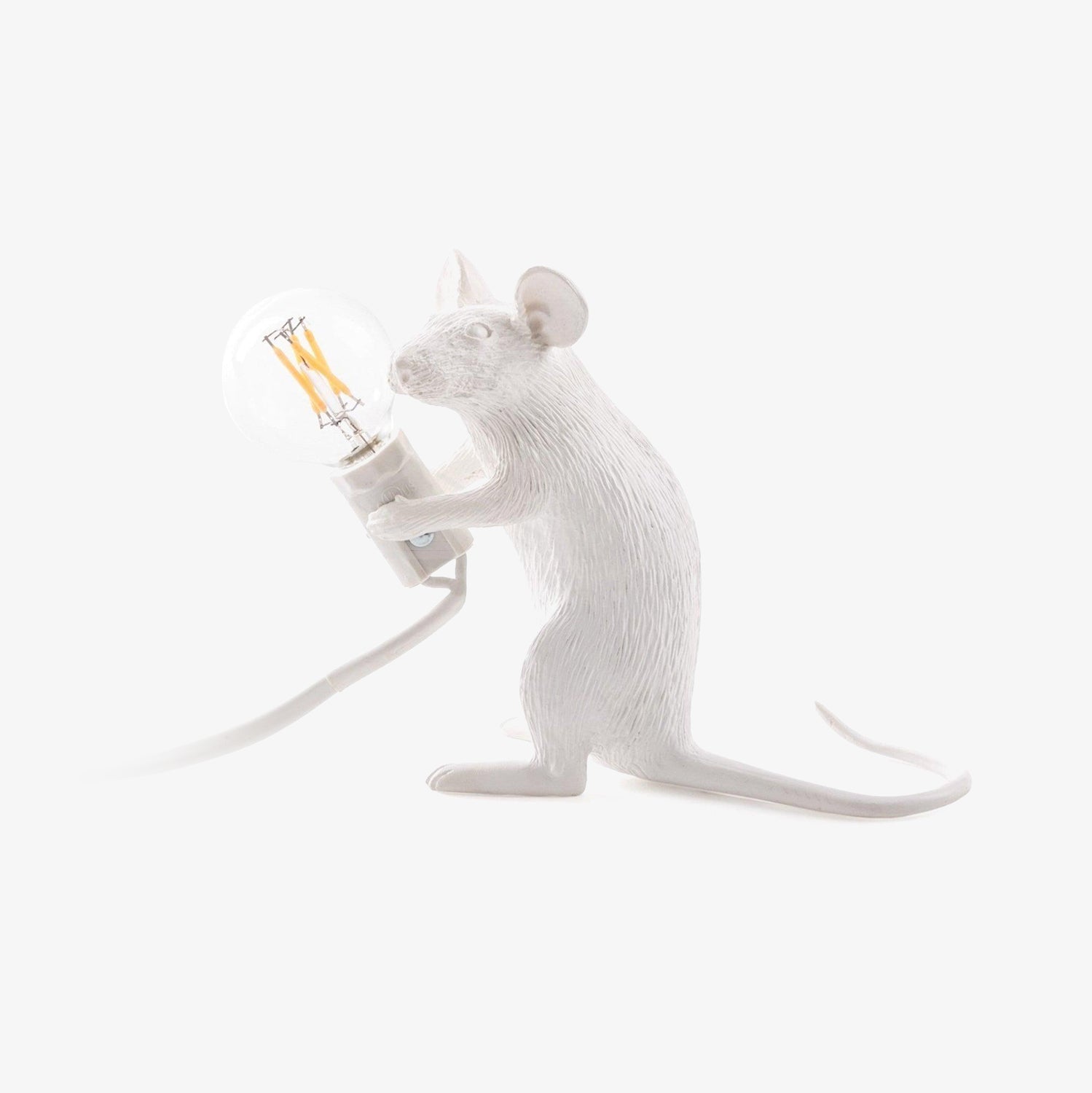 Kalinix Resin Whimsical Table Light